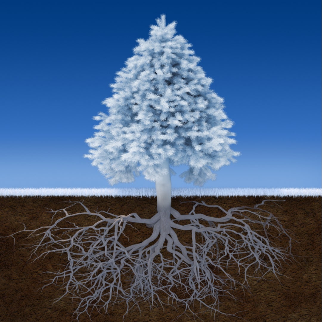 ROOT Cause Health Recovery Program | Streams in the Desert Epigenetics &  Wellness